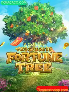 Explorando o Universo de ProsperityFortuneTree